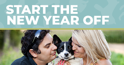 Start the New Year Off