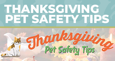 Thanksgiving Pet Safety Tips